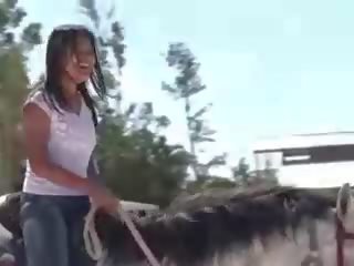 Kuiken van thailand rijden een paard
