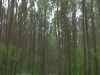 Grass duke thithur peter në the pyll