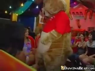 Gấu nhảy cho các quà tặng của putz katie cummings