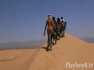 Group of glorious playmates sandboarding and tryout fishing