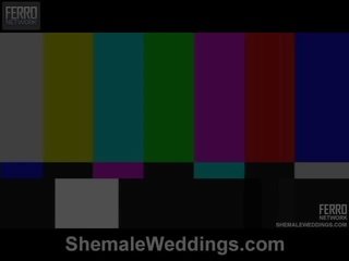 Shemale Weddings Proudly Presents Senna, Camile, Patricia_bismarck In xxx movie Scene