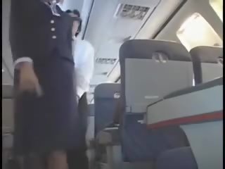 Americana stewardes fantasia