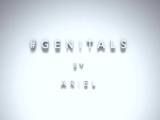 Yonitale štúdie: genitals na ariel (lilit a)